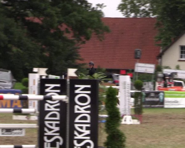 FEI Reitturnier Steinhagen (GER) 2016