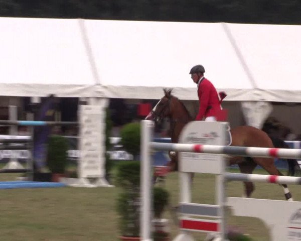 FEI Reitturnier Steinhagen (GER) 2016