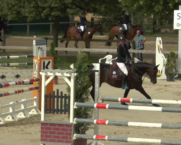 Reitturnier Münster-Roxel 2016