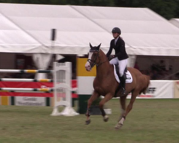 FEI Reitturnier Steinhagen (GER) 2016