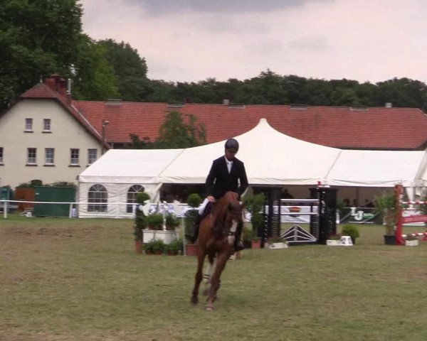 FEI Reitturnier Steinhagen (GER) 2016