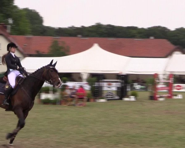 FEI Reitturnier Steinhagen (GER) 2016