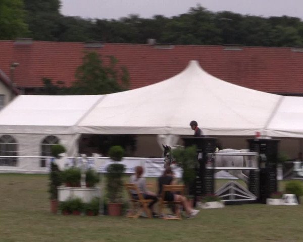 FEI Reitturnier Steinhagen (GER) 2016