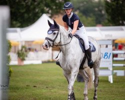 jumper Las Vegas 208 (German Sport Horse, 2011, from Laspari)