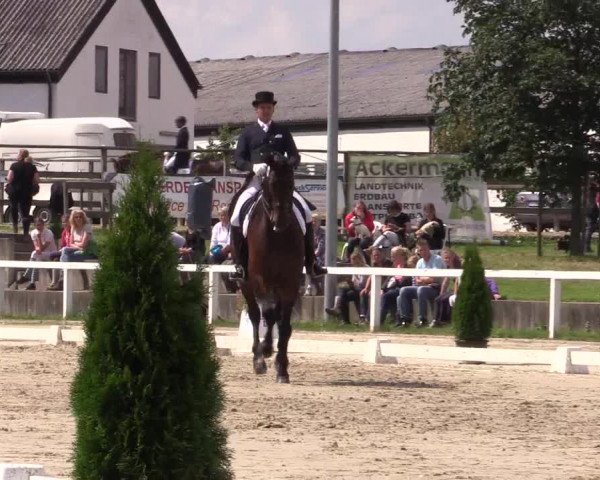 Reitturnier Melle-Ostenfelde 2016