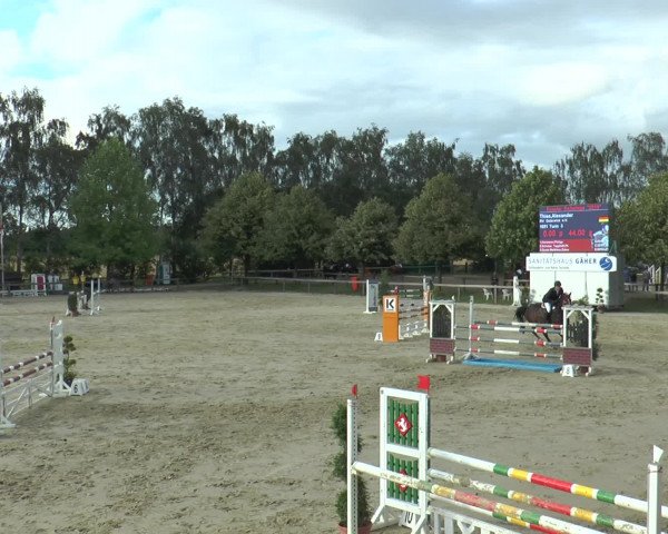 Reitturnier Münster-Roxel 2016