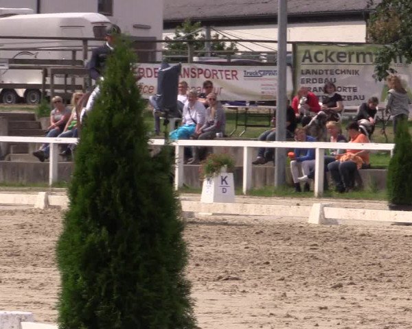Reitturnier Melle-Ostenfelde 2016