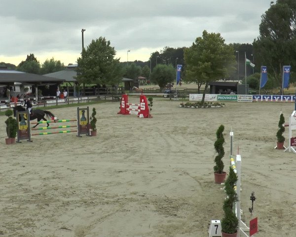 Reitturnier Münster-Roxel 2016