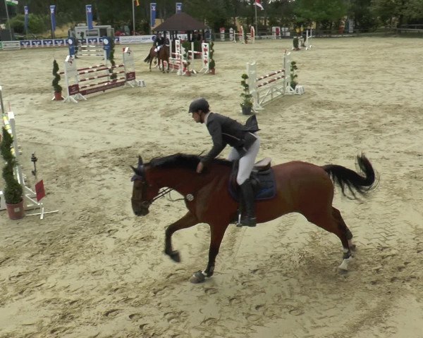 Reitturnier Münster-Roxel 2016