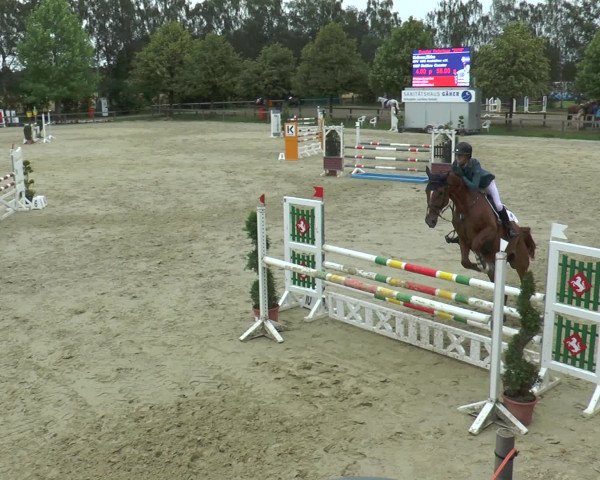 Reitturnier Münster-Roxel 2016