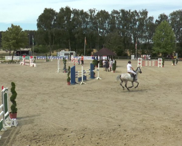 Reitturnier Münster-Roxel 2016