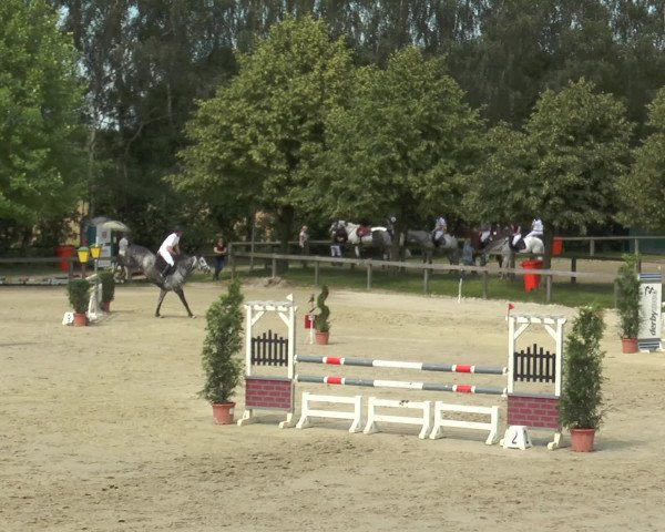Reitturnier Münster-Roxel 2016