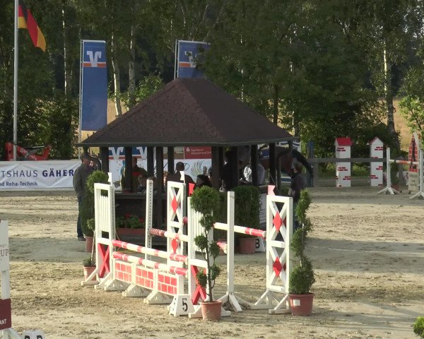 Reitturnier Münster-Roxel 2016
