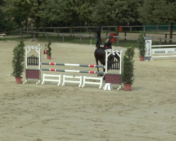 Reitturnier Münster-Roxel 2016