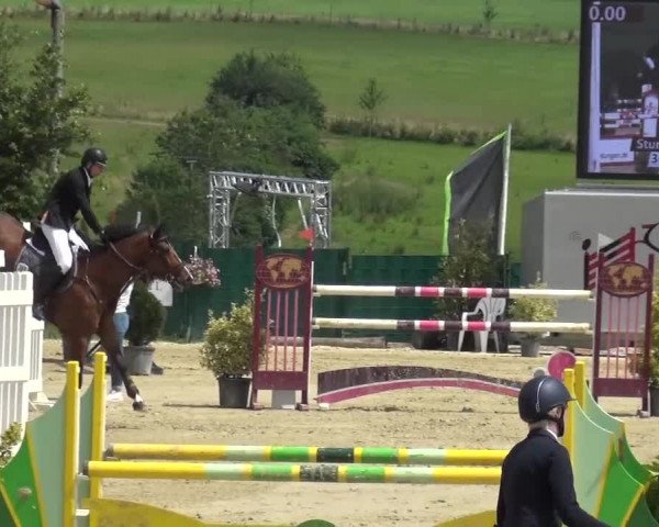 Reitturnier Lindlar-Süttenbach 2016