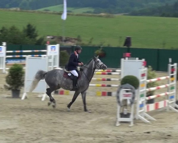 Reitturnier Lindlar-Süttenbach 2016