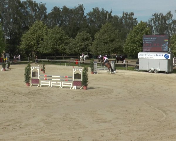 Reitturnier Münster-Roxel 2016