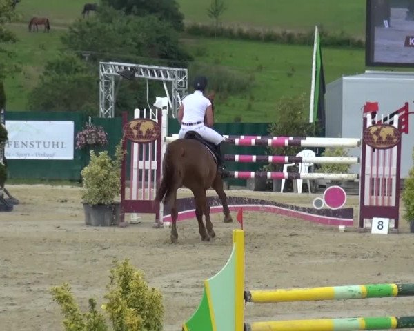 Reitturnier Lindlar-Süttenbach 2016