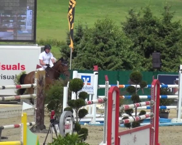 Reitturnier Lindlar-Süttenbach 2016