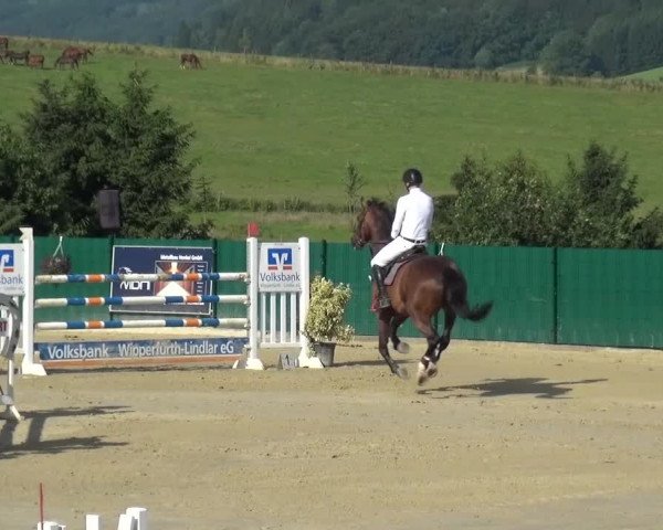 Reitturnier Lindlar-Süttenbach 2016
