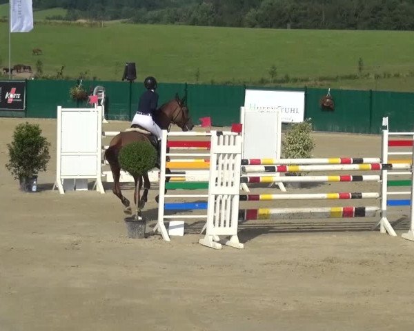 Reitturnier Lindlar-Süttenbach 2016