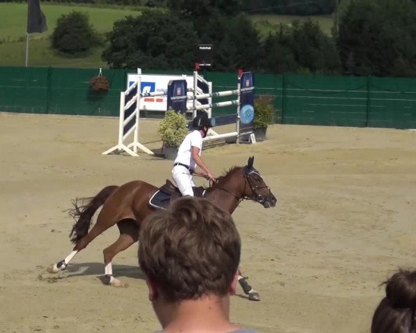 Reitturnier Lindlar-Süttenbach 2016