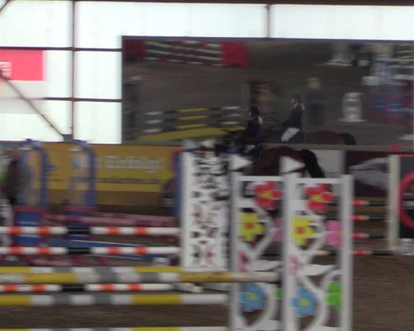 Große Jumping-Trophy Pausin 2021