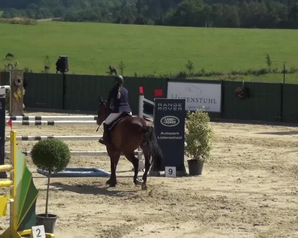 Reitturnier Lindlar-Süttenbach 2016