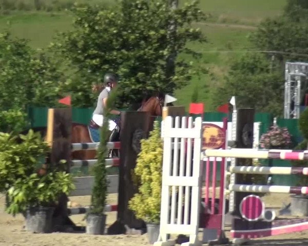 Reitturnier Lindlar-Süttenbach 2016
