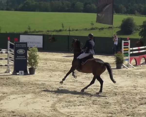 Reitturnier Lindlar-Süttenbach 2016