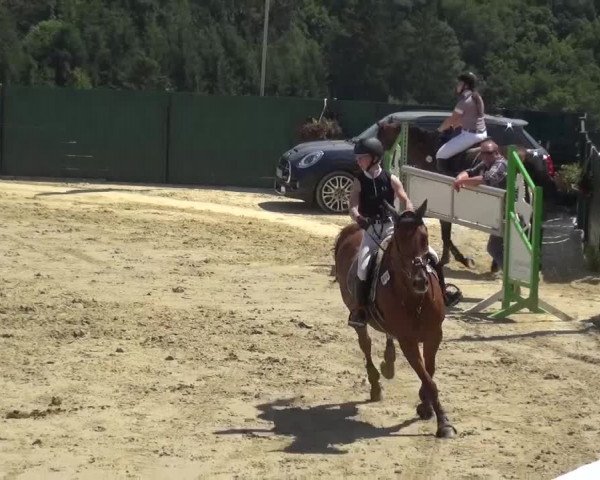 Reitturnier Lindlar-Süttenbach 2016