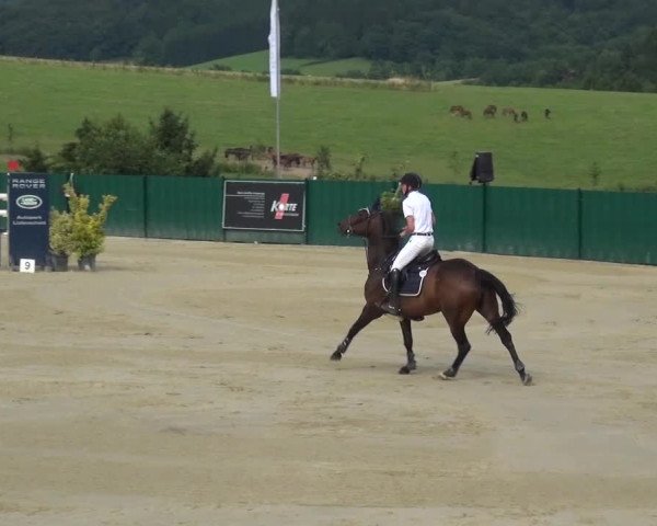 Reitturnier Lindlar-Süttenbach 2016