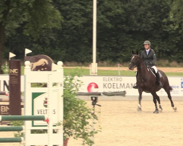 Euregioturnier Wietmarschen 2016
