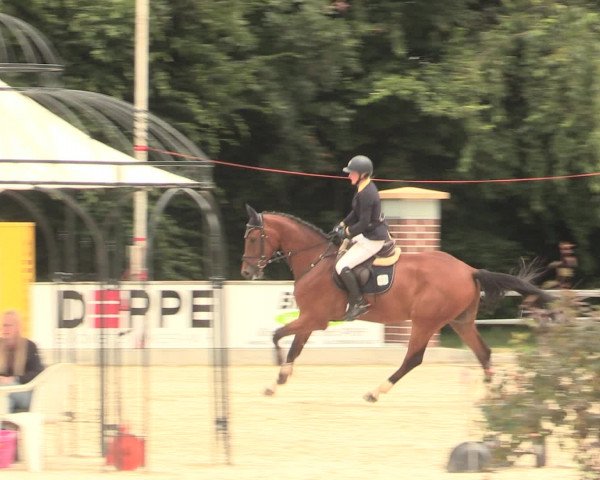 Euregioturnier Wietmarschen 2016