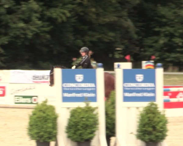 Euregioturnier Wietmarschen 2016