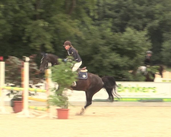Euregioturnier Wietmarschen 2016
