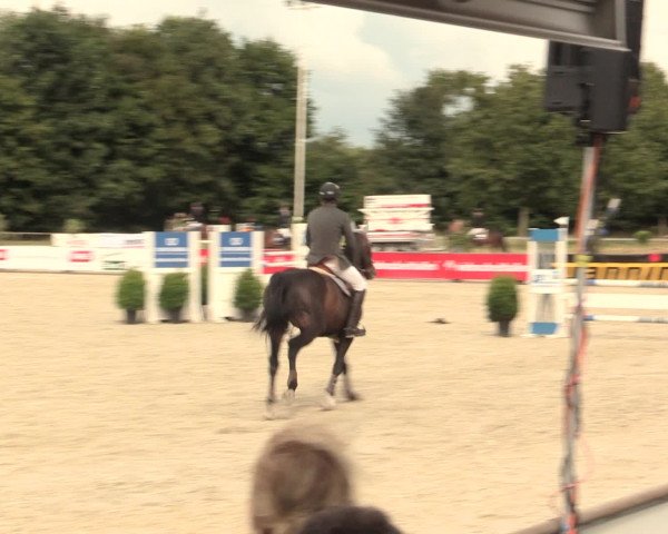 Euregioturnier Wietmarschen 2016