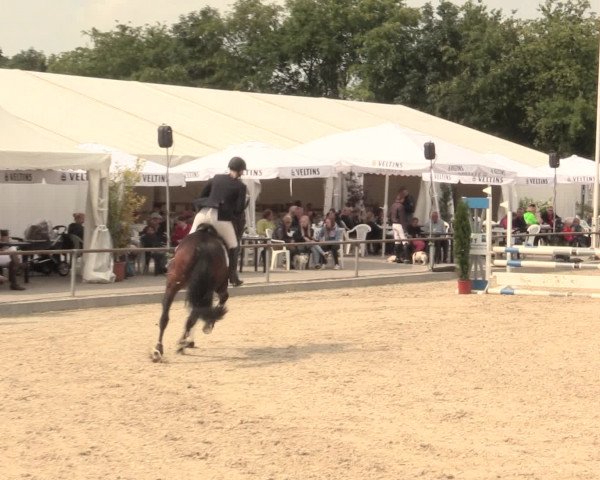 Euregioturnier Wietmarschen 2016