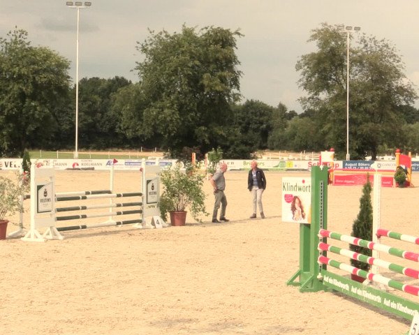 Euregioturnier Wietmarschen 2016