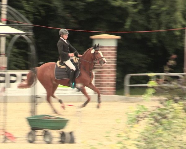 Euregioturnier Wietmarschen 2016