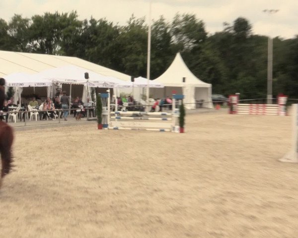 Euregioturnier Wietmarschen 2016