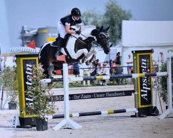 broodmare Libana (Swiss Warmblood, 2005, from Landjuweel St Hubert)