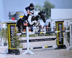 broodmare Libana (Swiss Warmblood, 2005, from Landjuweel St Hubert)