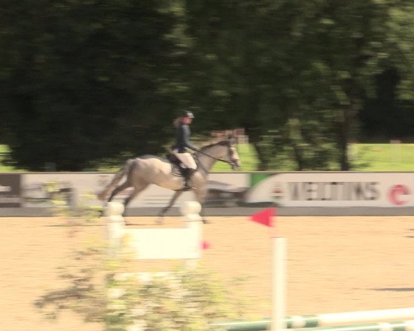 Euregioturnier Wietmarschen 2016