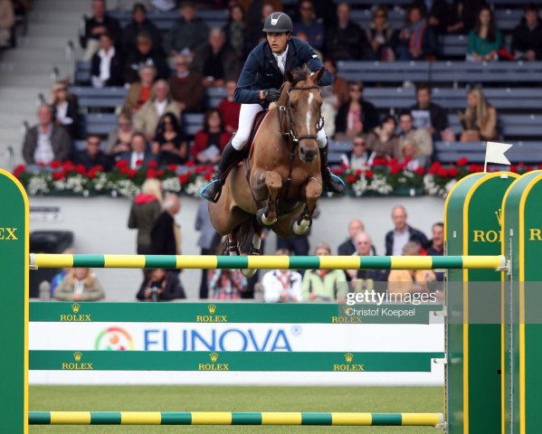 broodmare Vadetta Vh Mettenhof (KWPN (Royal Dutch Sporthorse), 2002, from VDL Orame)