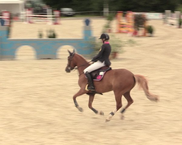 Euregioturnier Wietmarschen 2016