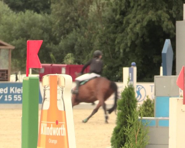 Euregioturnier Wietmarschen 2016