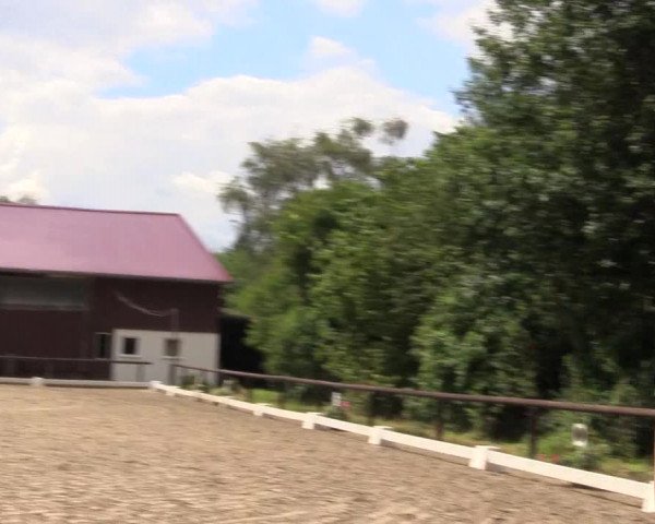 Kemperhöher Reitertage 2016