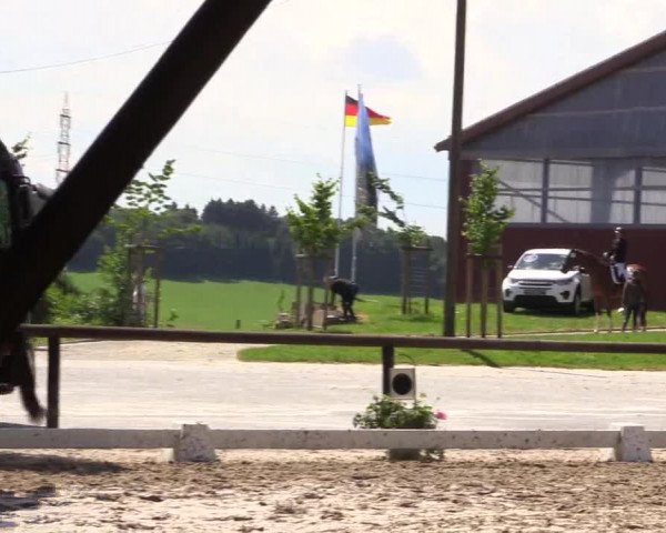 Kemperhöher Reitertage 2016