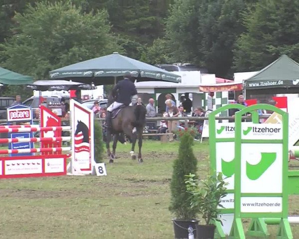 Reitturnier Süderbrarup-Güderott 2016